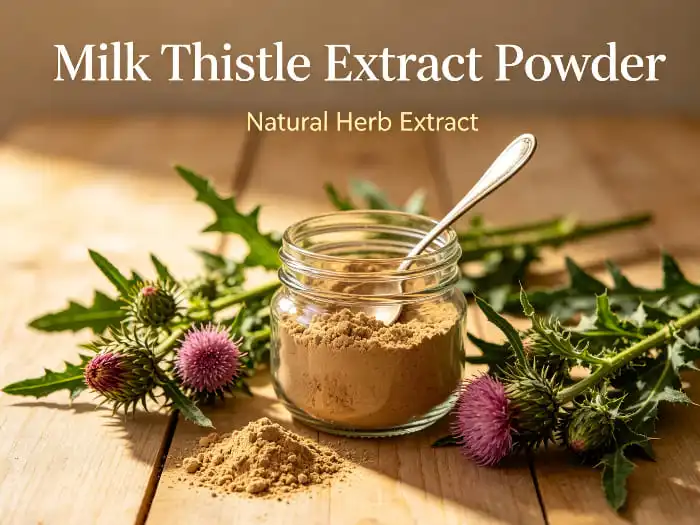 What Is Milk Thistle Extract and How Does It Support Liver Health?